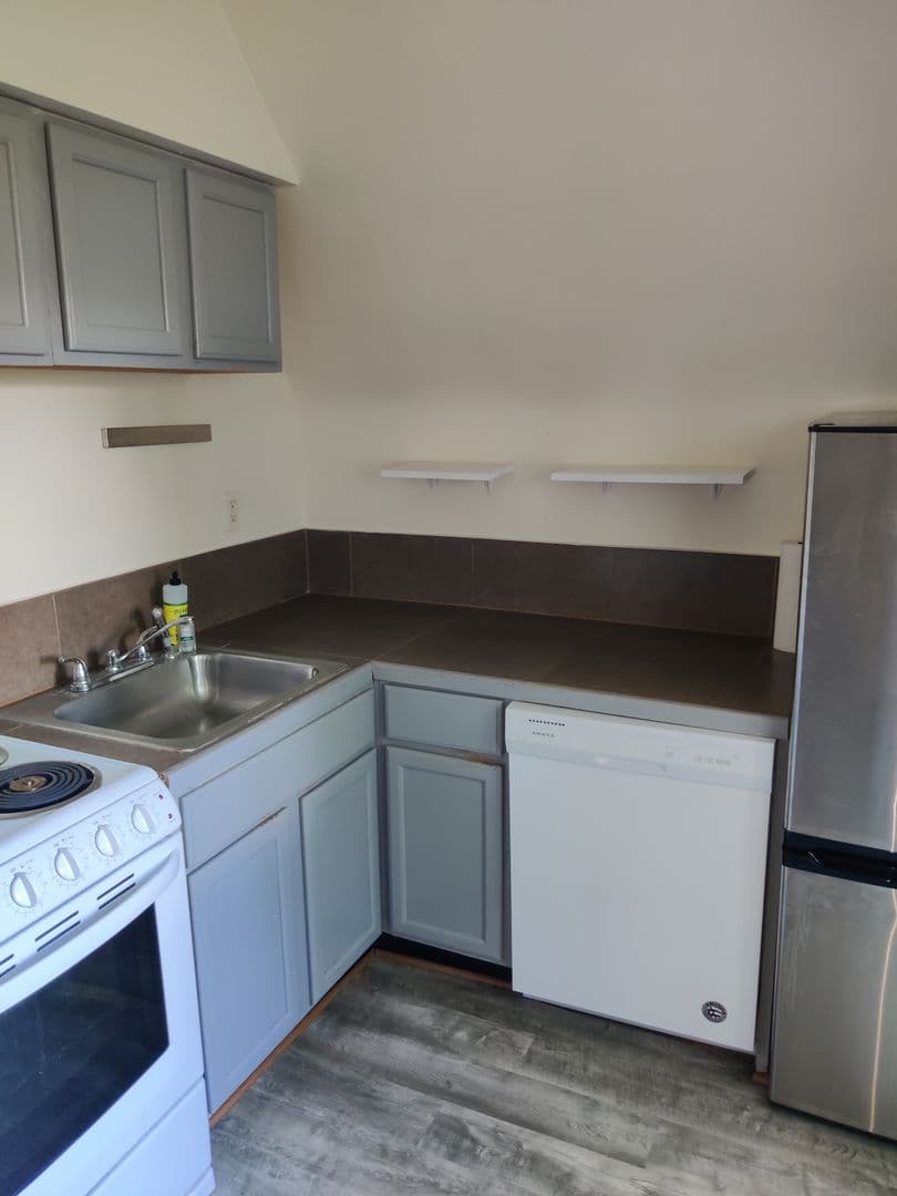 Pittsburgh Apartment: 125 Roup Ave. - Apt. 3