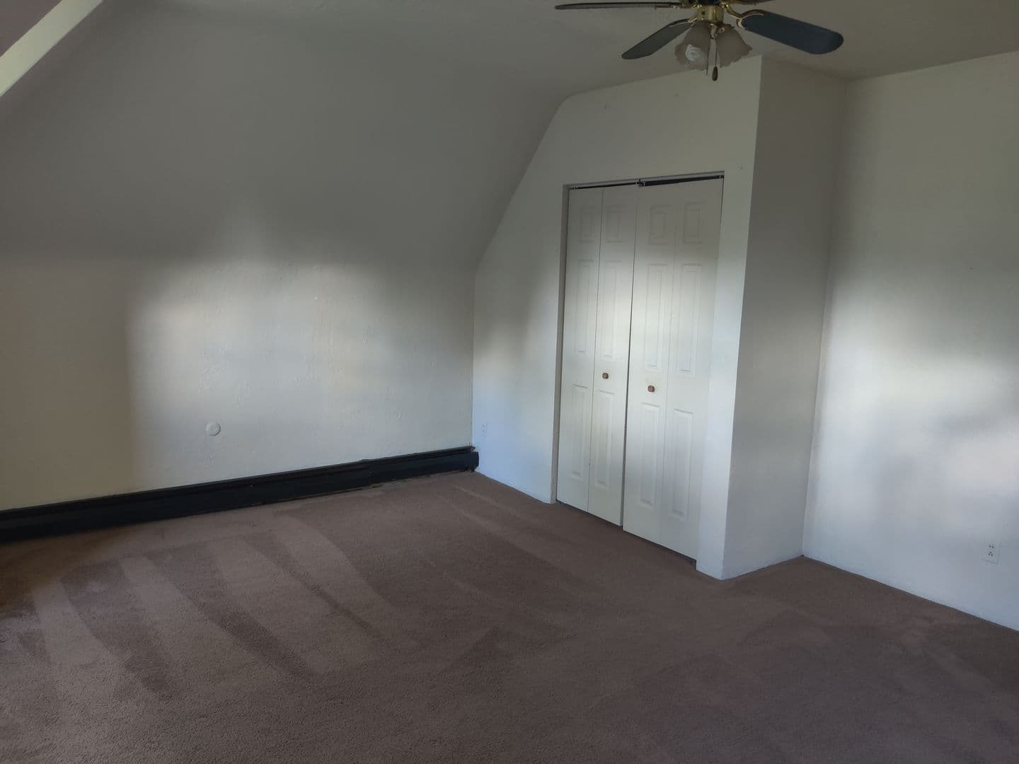 Pittsburgh Apartment: 125 Roup Ave. - Apt. 3