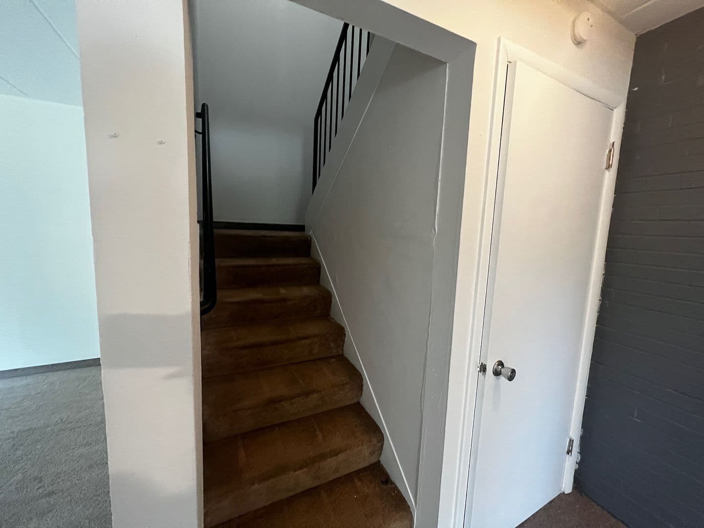 Columbia Apartment: 1503 Anthony St
