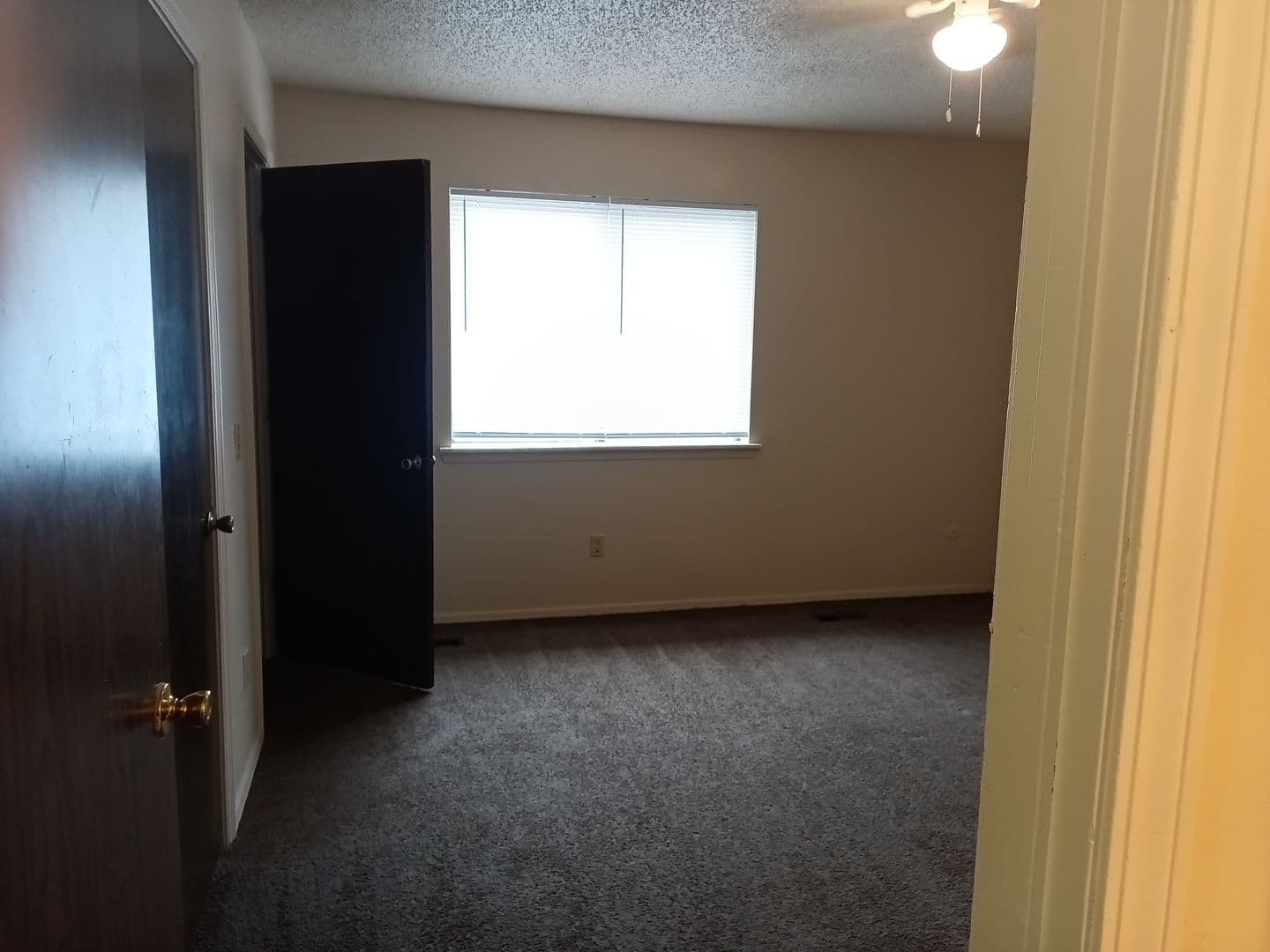 Fayetteville Apartment: 1571 N Leverett Ave
