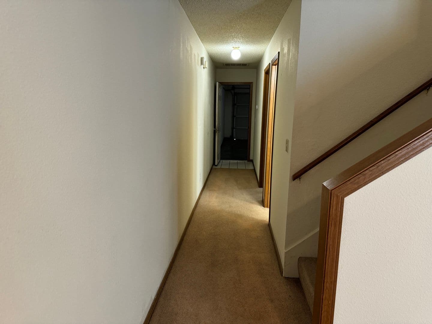 Fayetteville Apartment: Daisy Lane