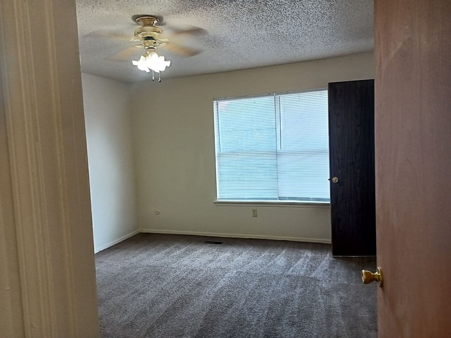 Fayetteville Apartment: 1571 N Leverett Ave