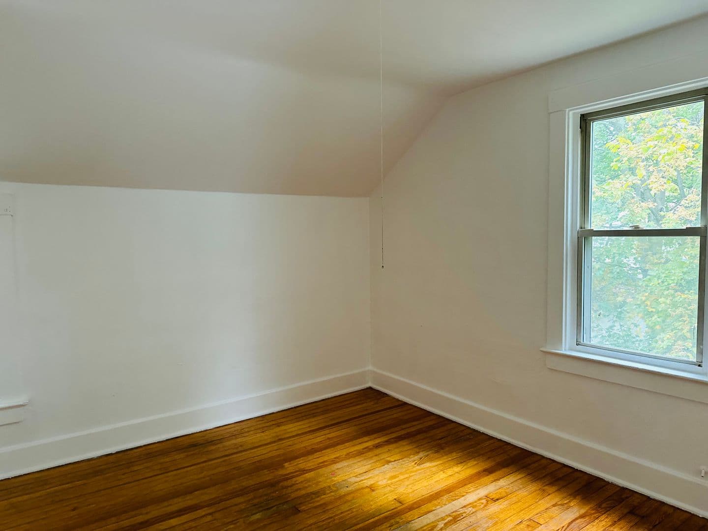 Rochester House: 14 Admiral Pk