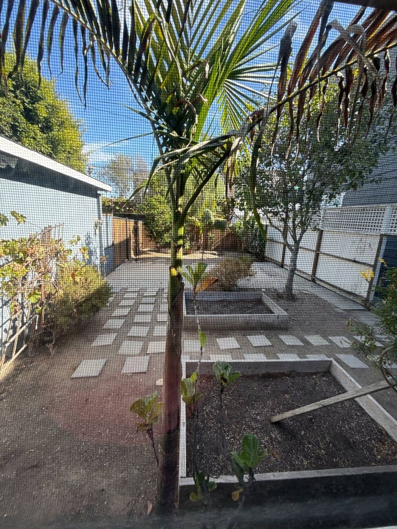 Venice House: 912 Marcos Place