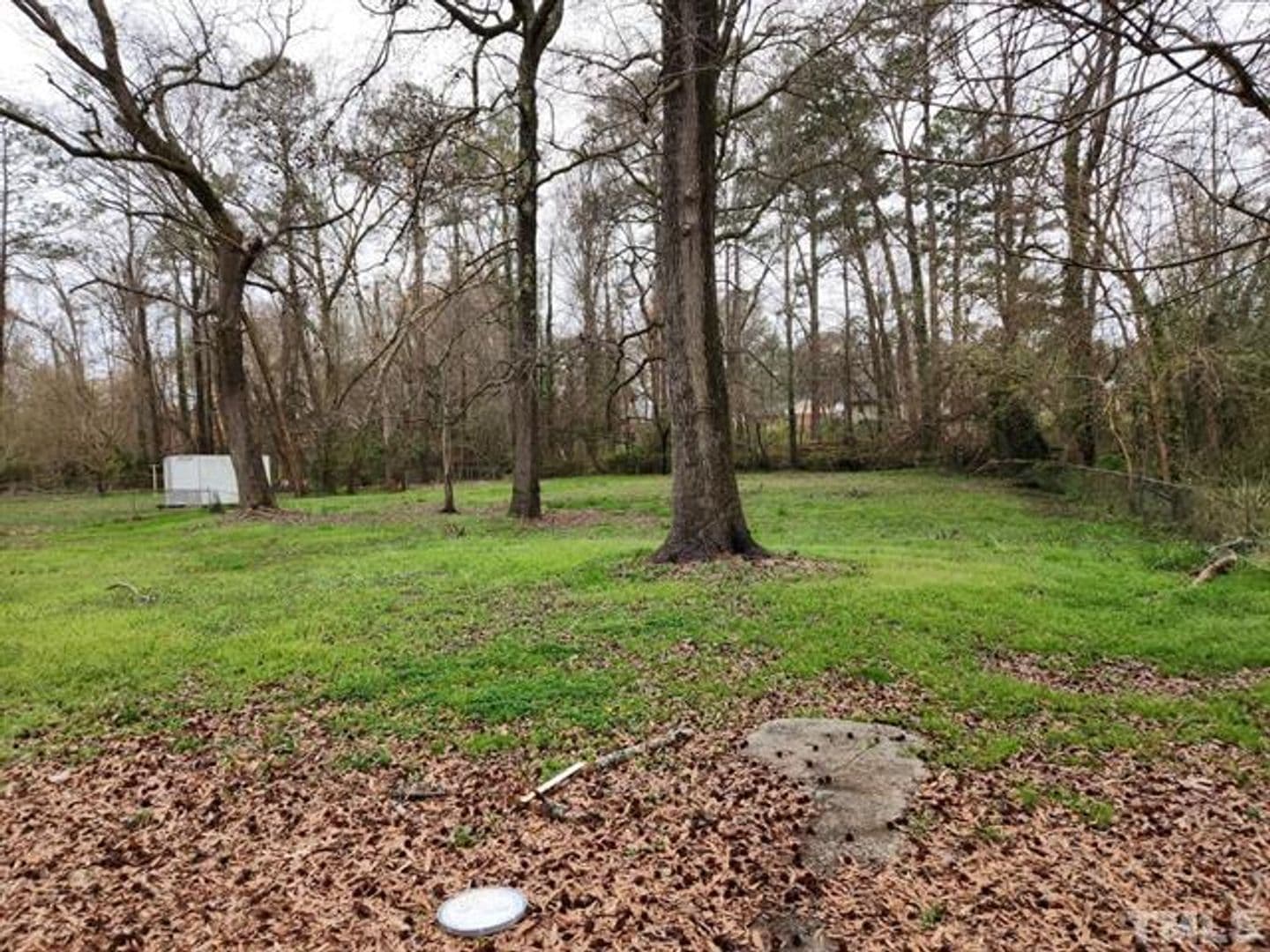 Raleigh House: 520 Dacian Road