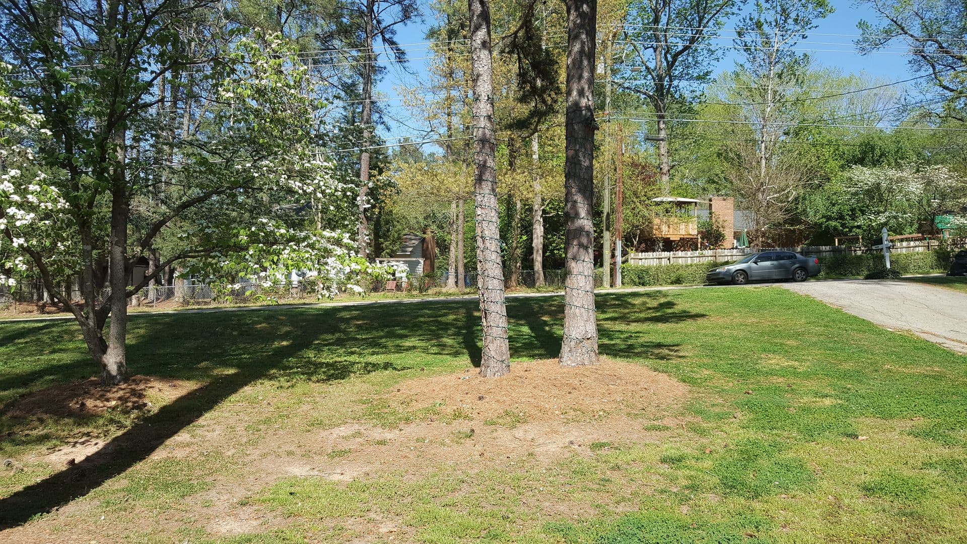 Raleigh House: 1521 Shelley Road