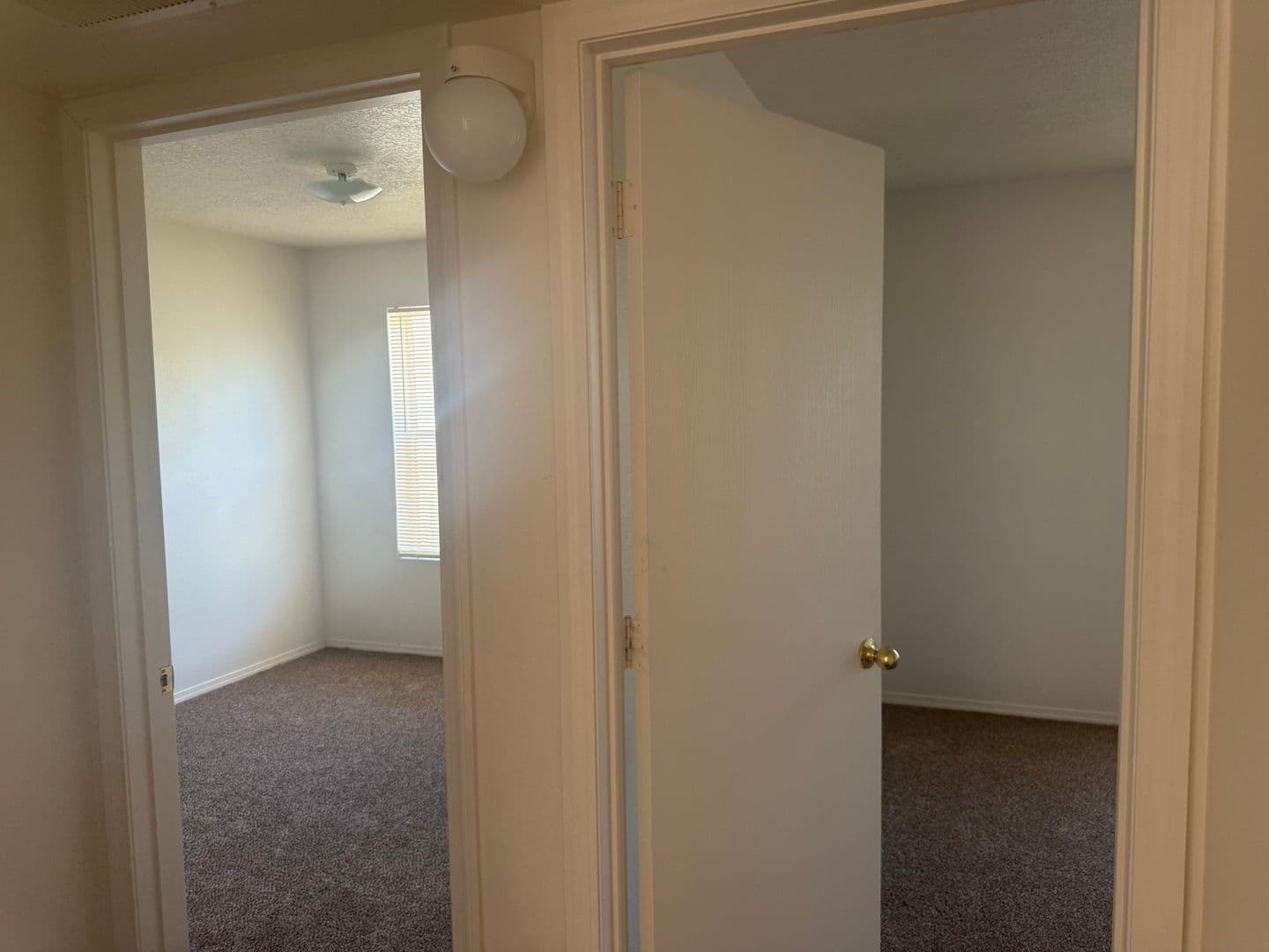 Rio Rancho House: 3716 Ranchers Loop