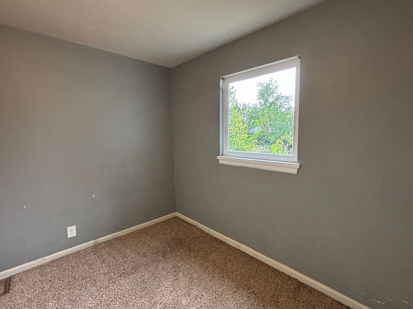 Aurora House: 1233 Elmira St