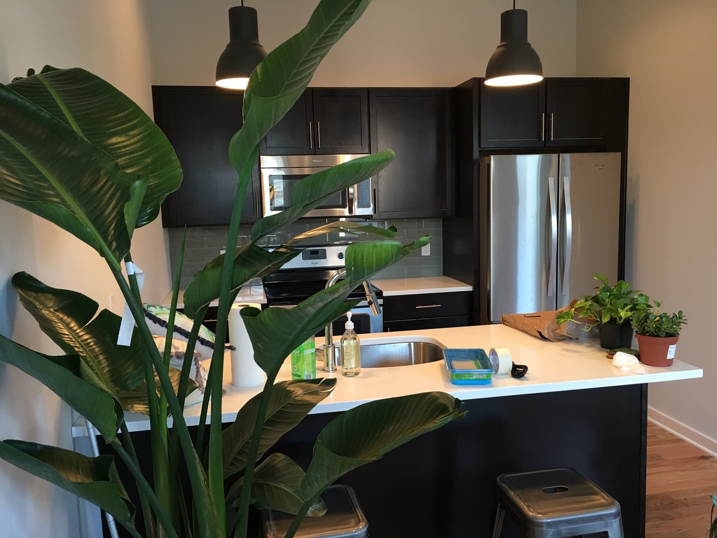 Philadelphia Apartment: 2007 Hope St