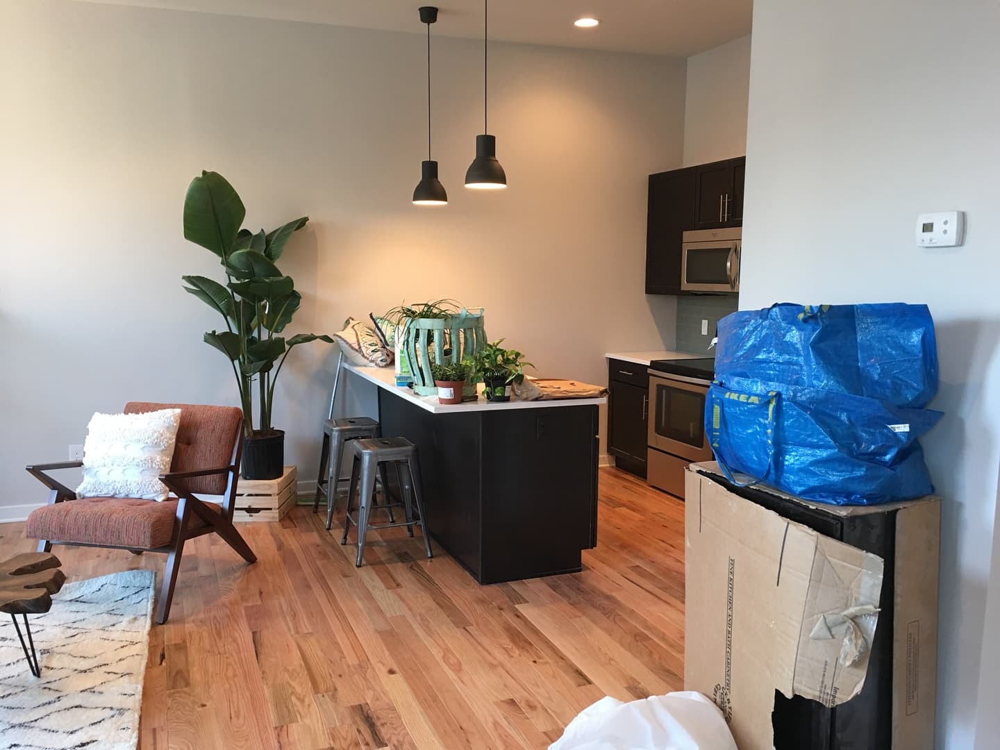 Philadelphia Apartment: 2007 Hope St
