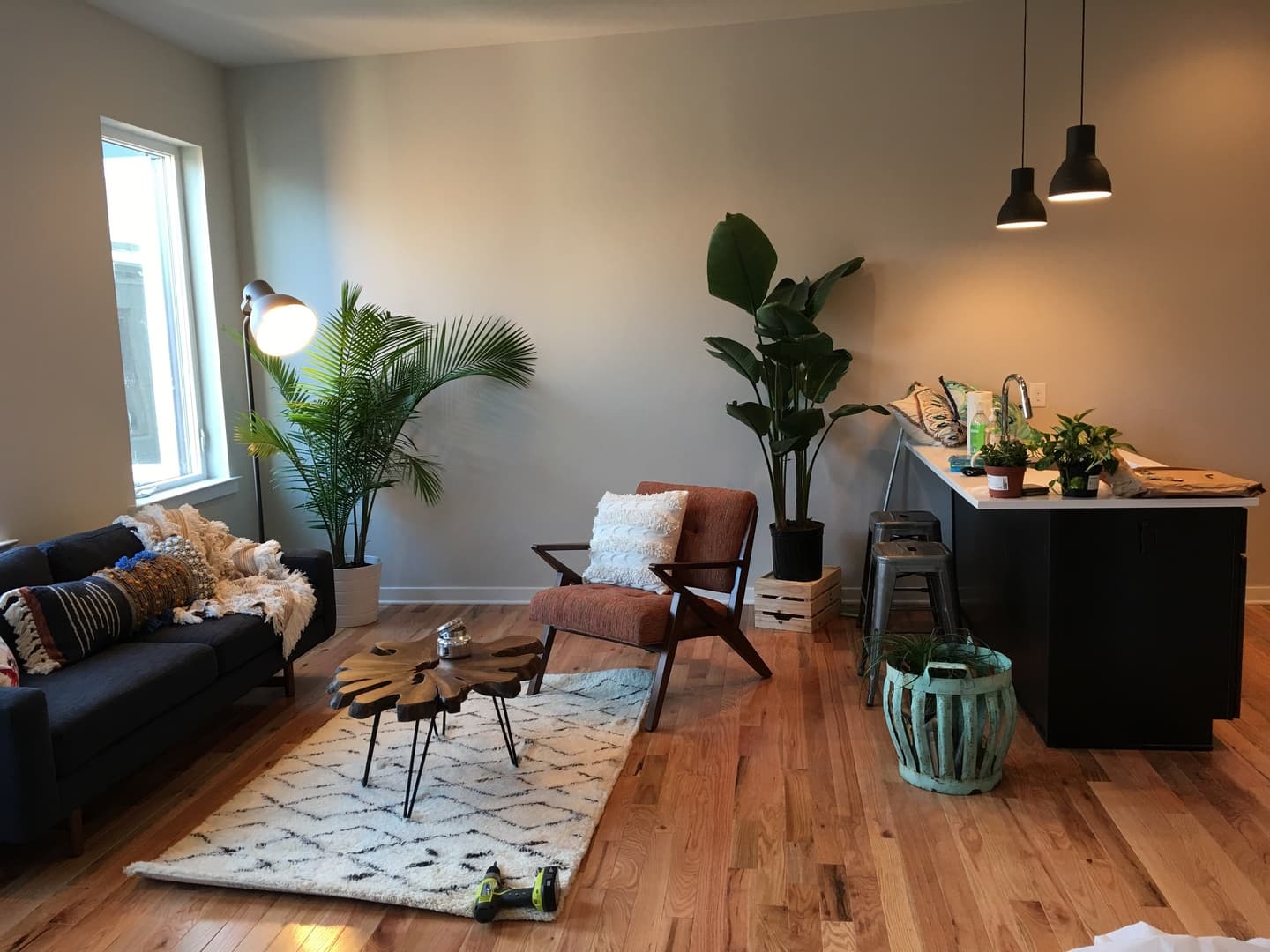 Philadelphia Apartment: 2007 Hope St
