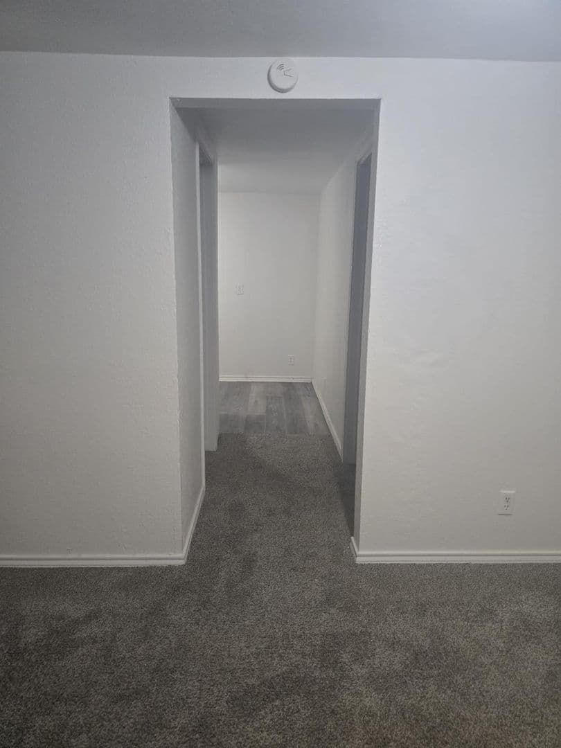 Whitney Apartment: 316 Bush Dr