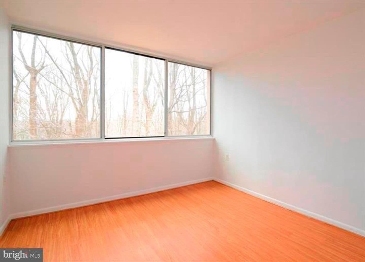 Annandale Condo: 4345 Ivymount Ct