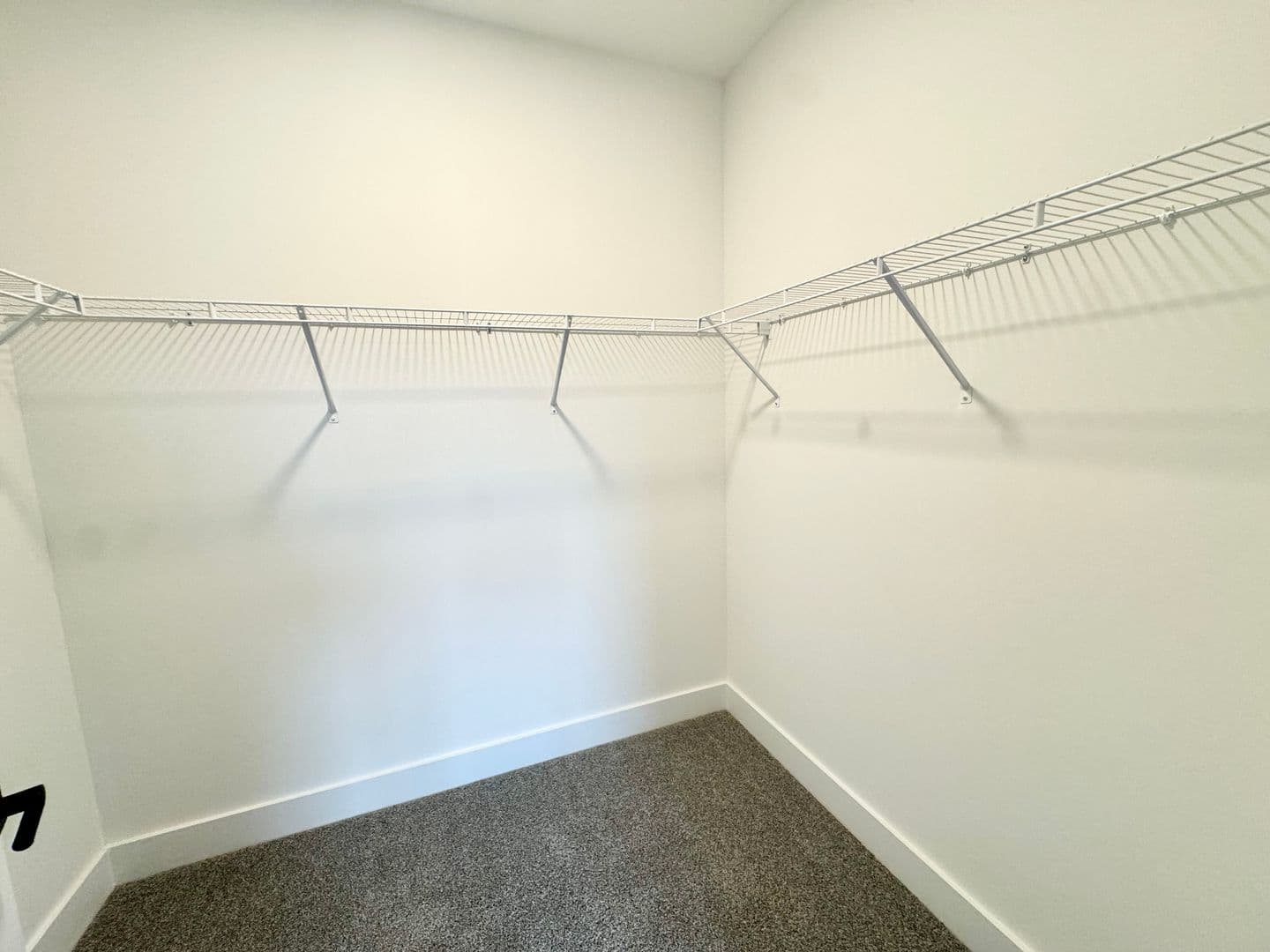 Rock Hill Apartment: 175 West Black Street