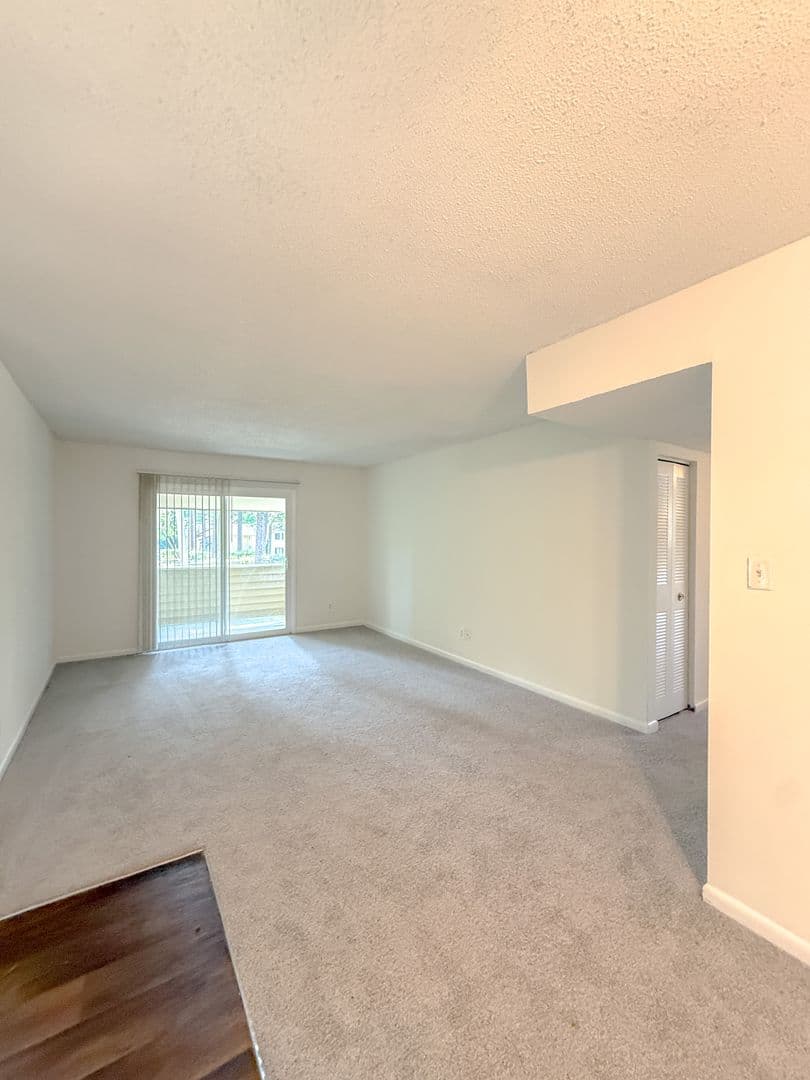 Jacksonville Apartment: 301 Village Drive