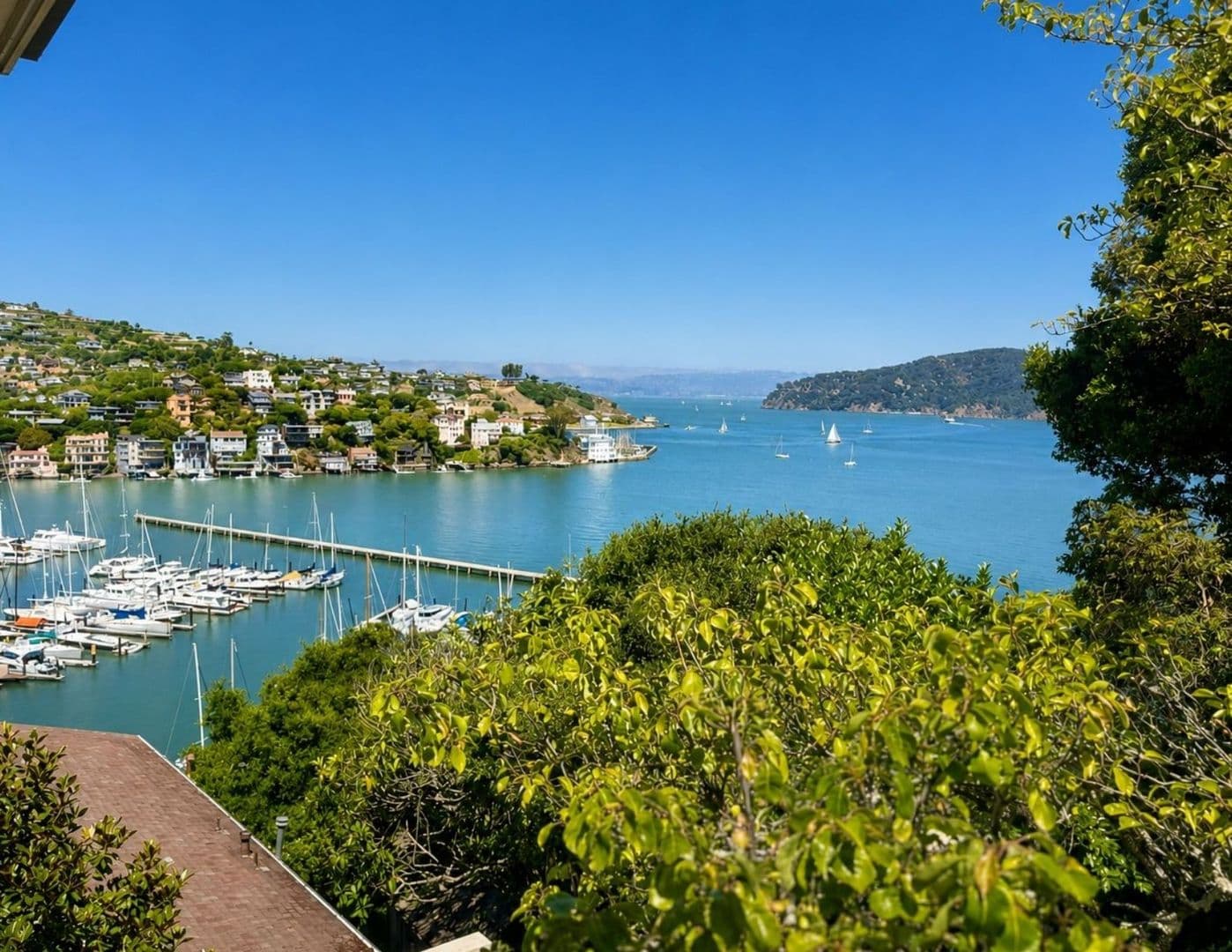 Belvedere Tiburon House: Bayview Avenue