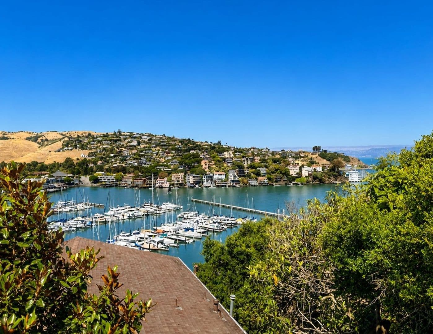 Belvedere Tiburon House: Bayview Avenue