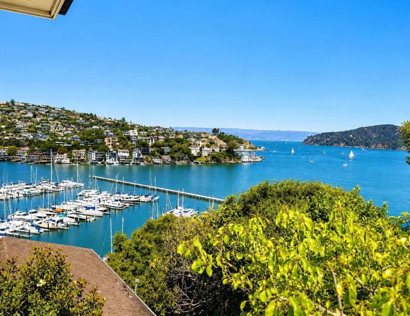 Belvedere Tiburon House: Bayview Avenue