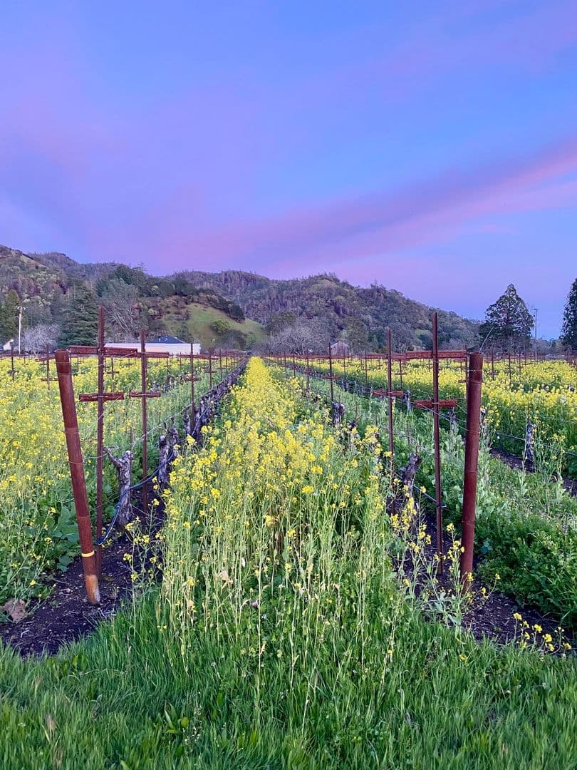 Calistoga House: 3071 Lake County Highway