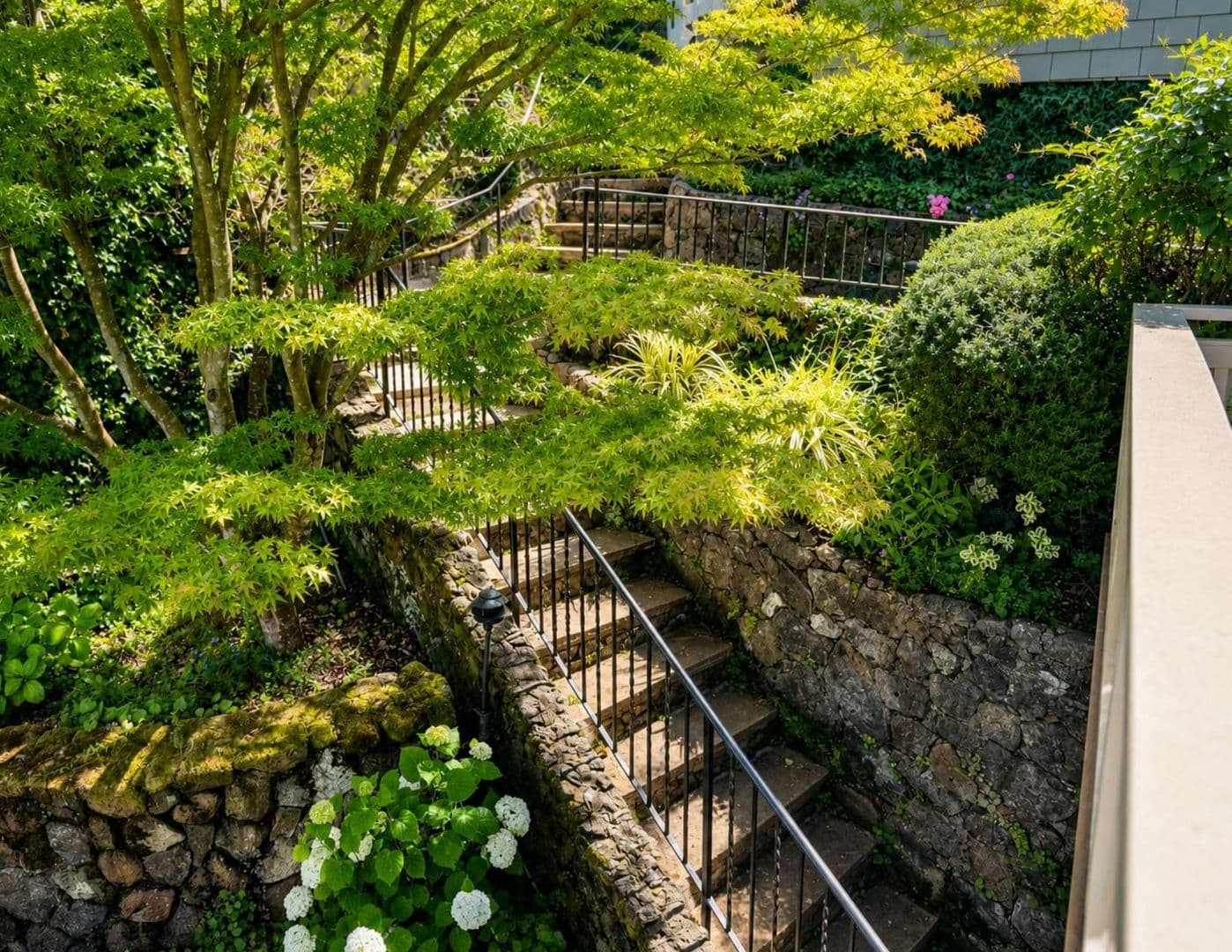 Belvedere Tiburon House: Bayview Avenue