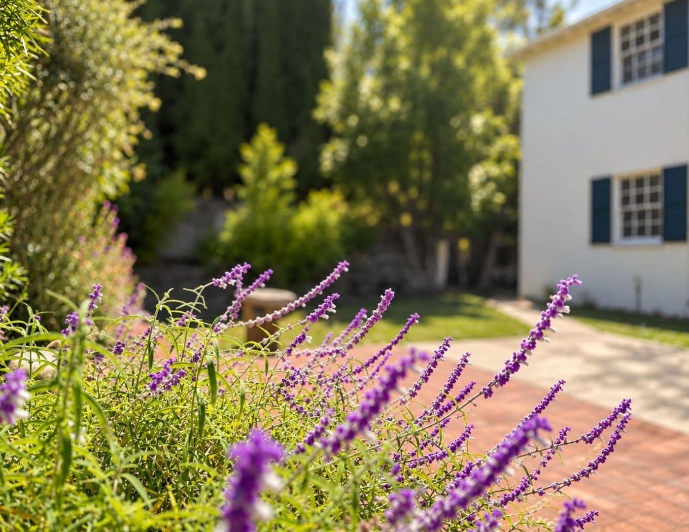 Berkeley Condo: 1739 Spruce St