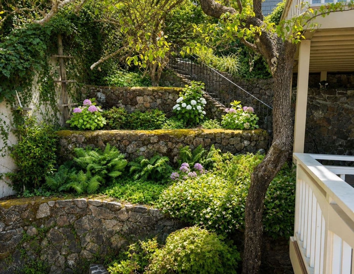 Belvedere Tiburon House: Bayview Avenue