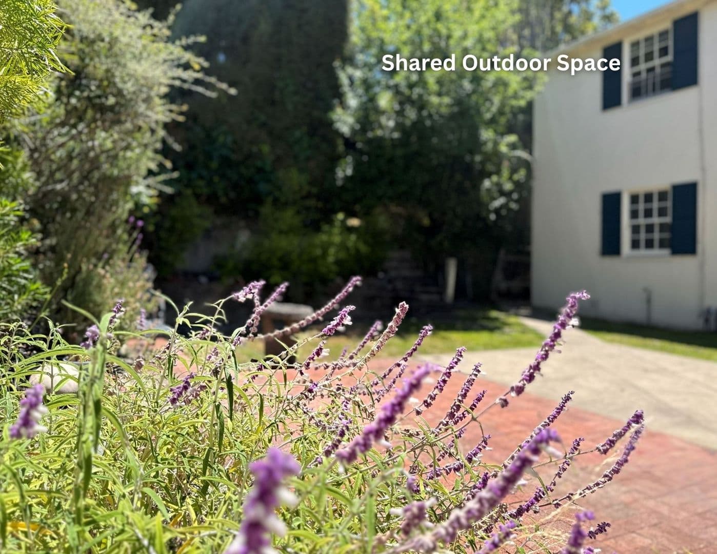 Berkeley Townhome: 1755 Spruce Street