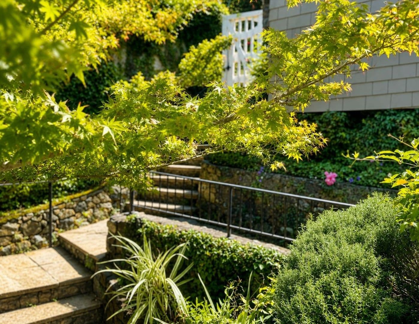 Belvedere Tiburon House: Bayview Avenue