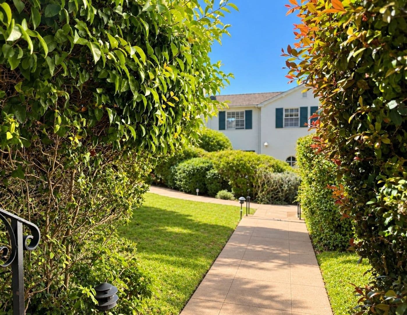 Berkeley Condo: 1739 Spruce St