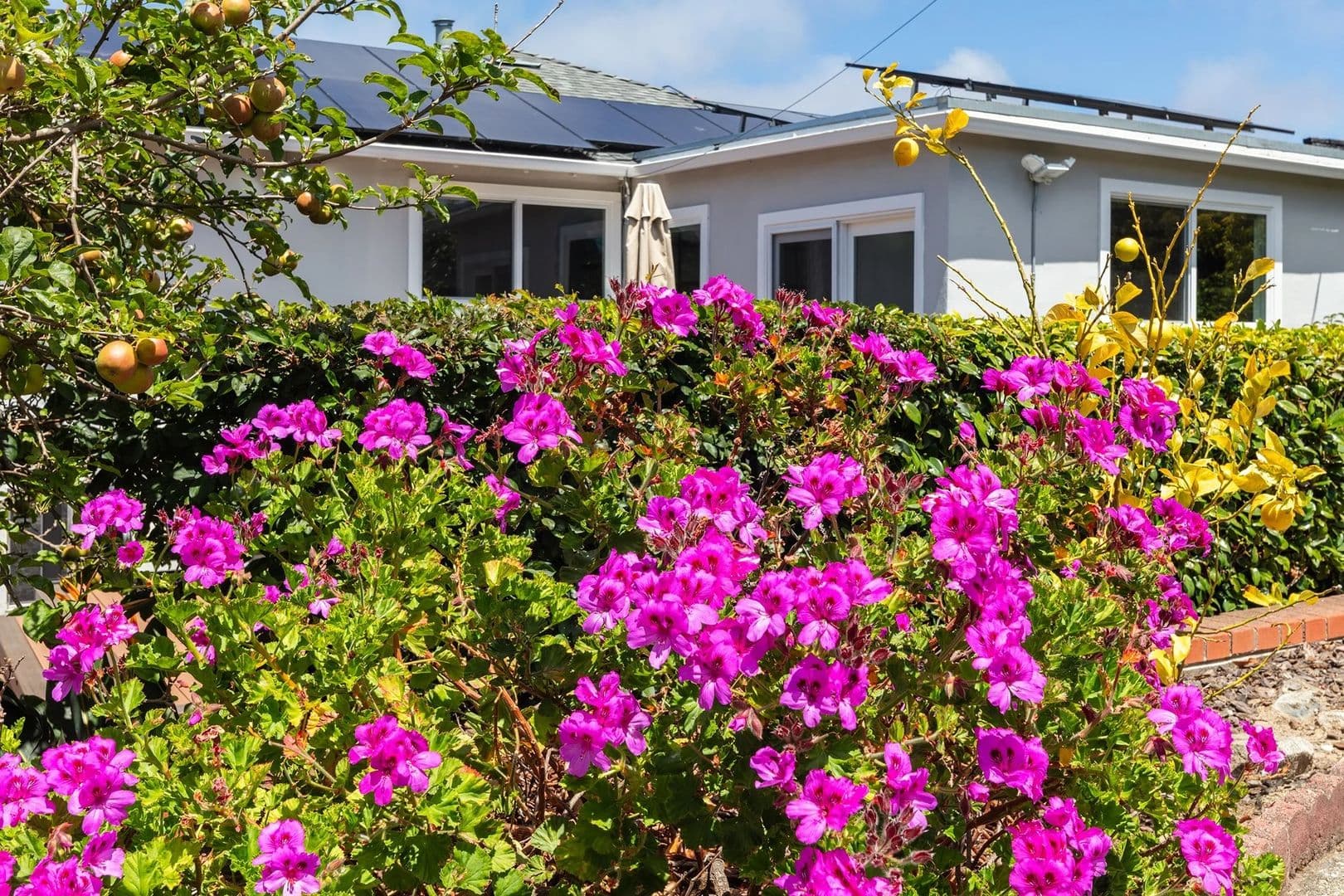 South San Francisco House: 460 Valverde Drive