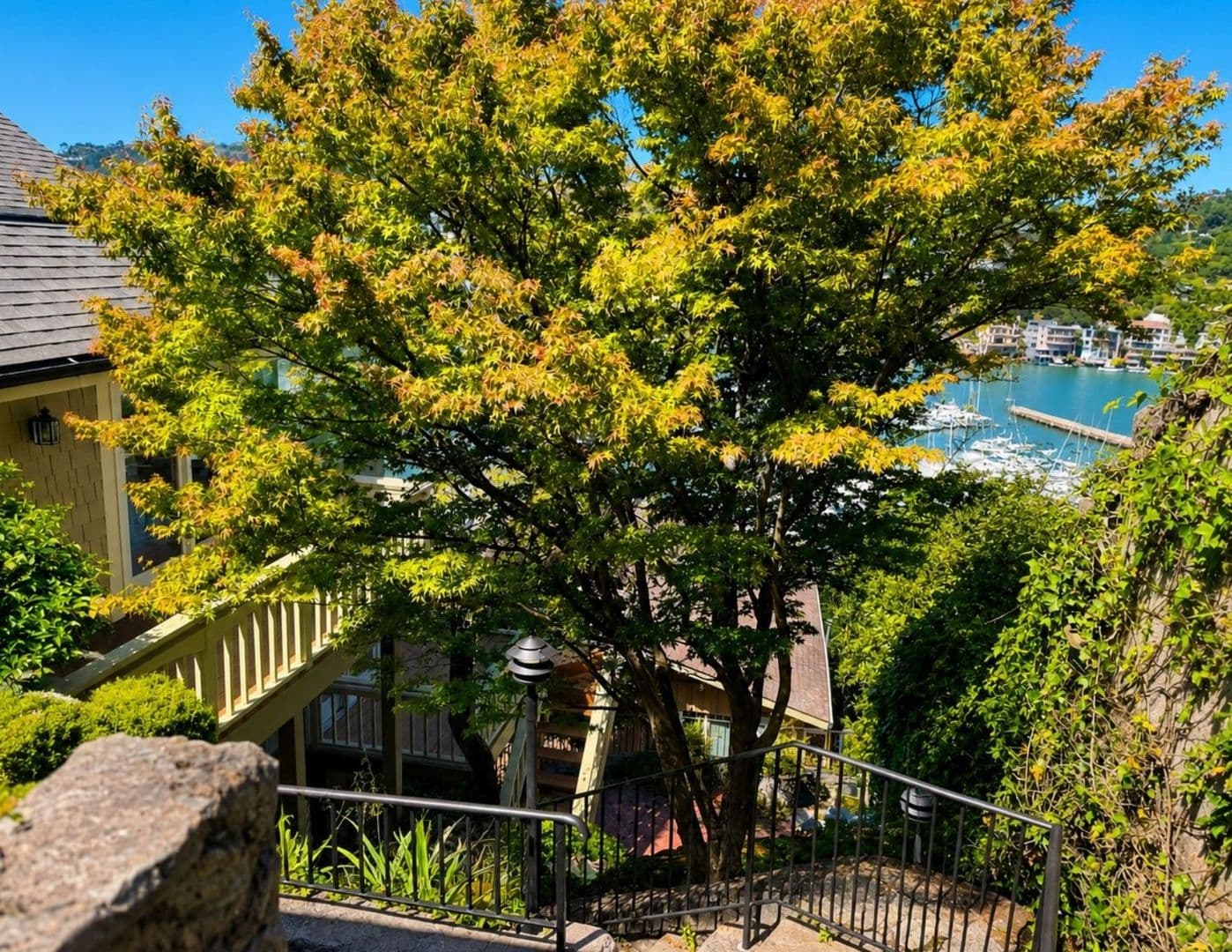 Belvedere Tiburon House: Bayview Avenue