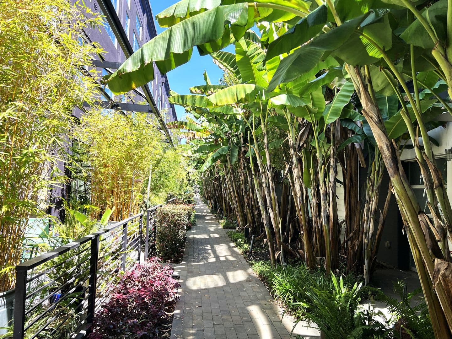 Oakland Condo: 1253 Pine St