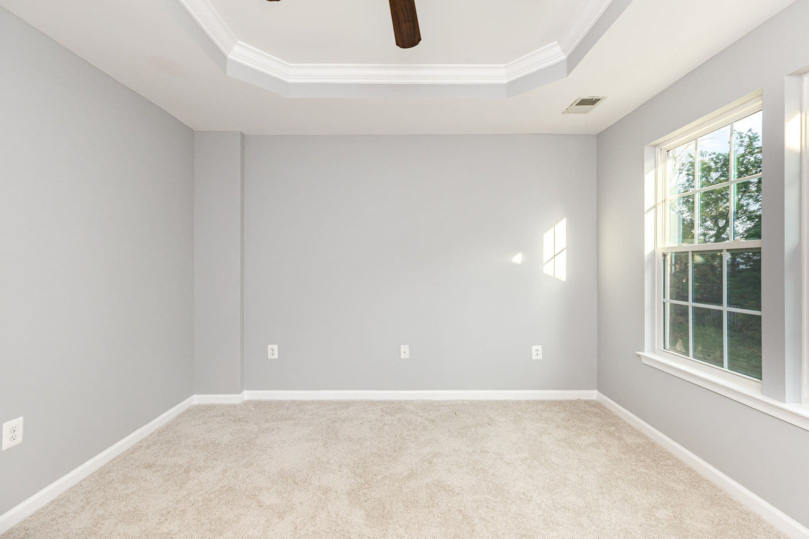 Fredericksburg Townhome: 4631 Alliance Way