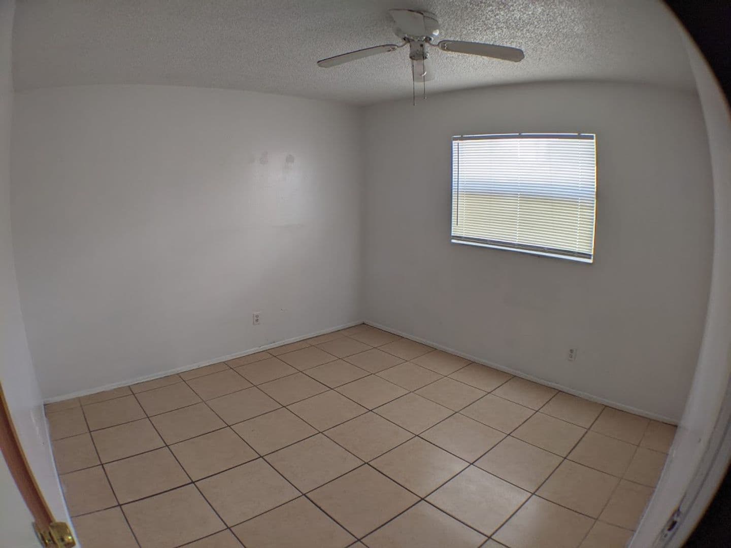 Bradenton Multiplex: 3261 51st Ave, Dr, W.