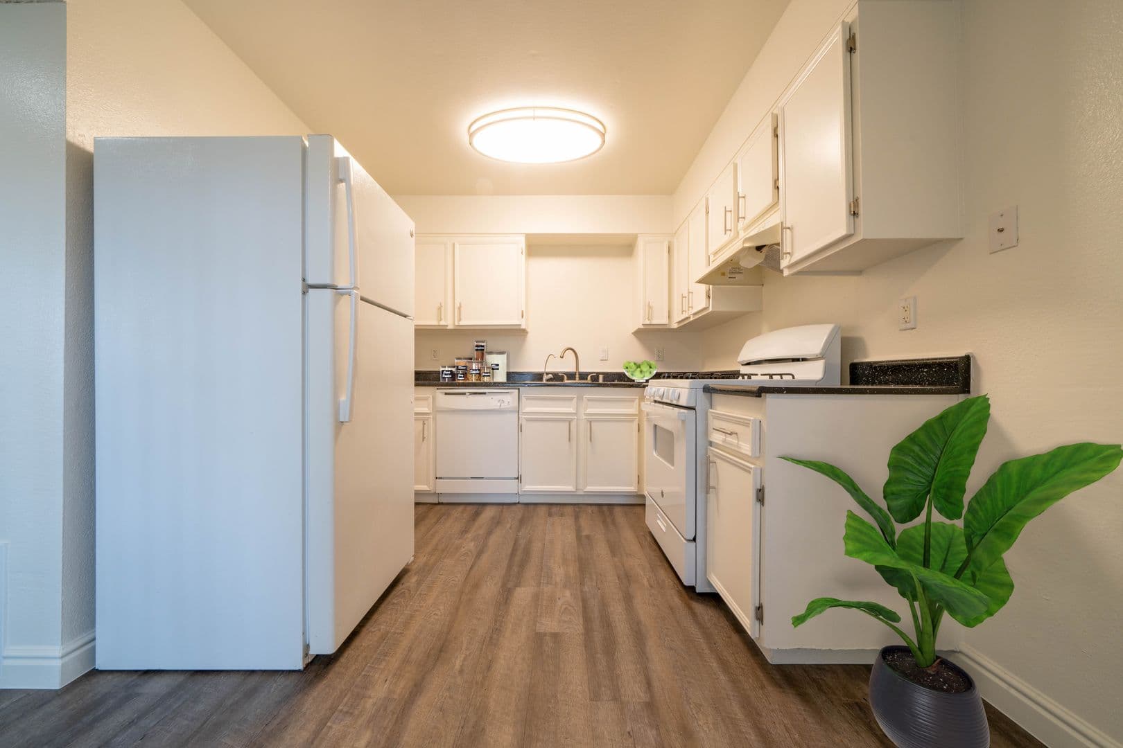 Vista Apartment: 1466 Bonair Road
