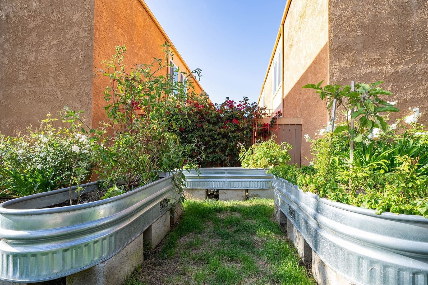 Vista Apartment: 1440 Oak Drive