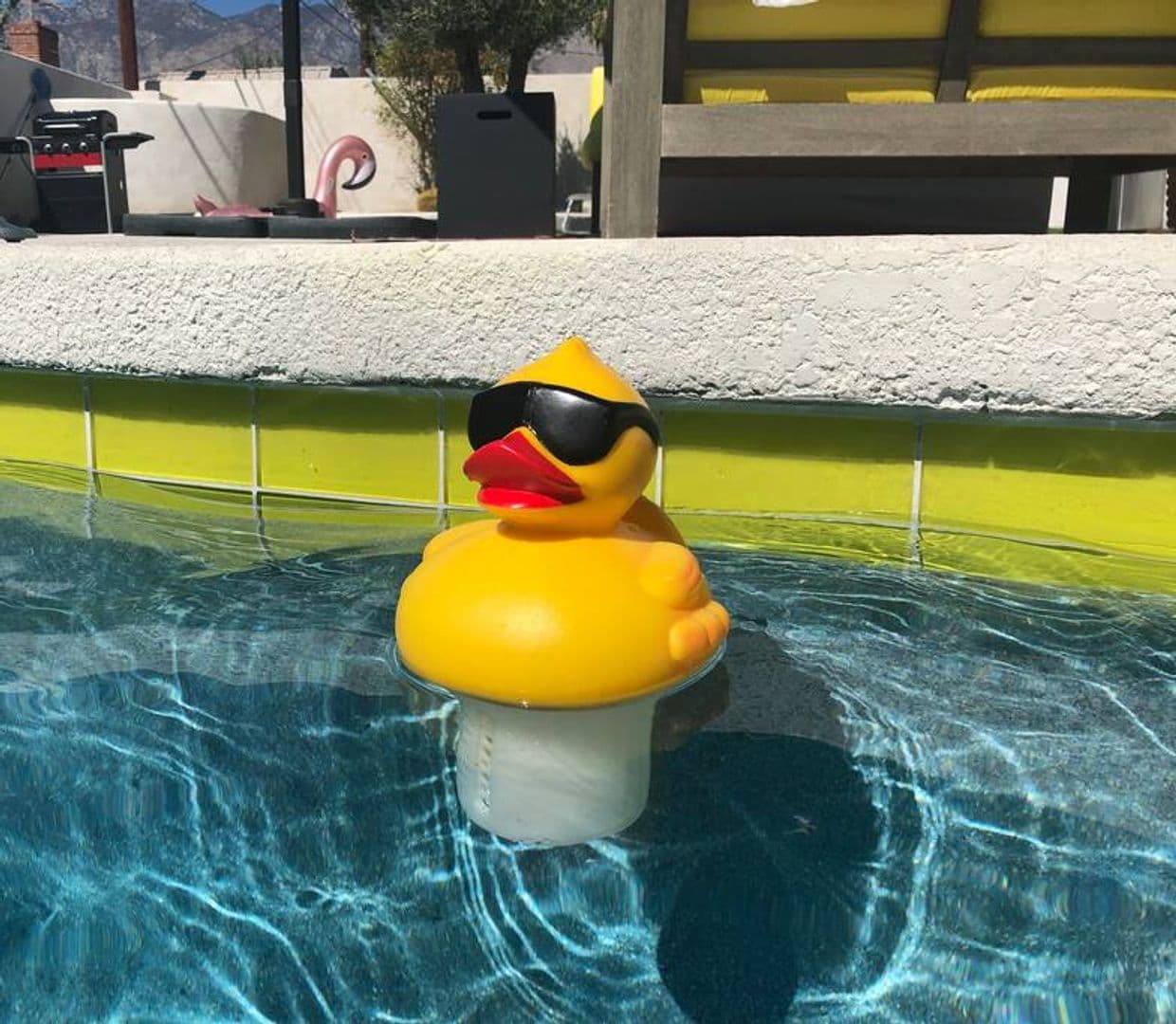 Palm Springs House: 3963 Calle San Antonio
