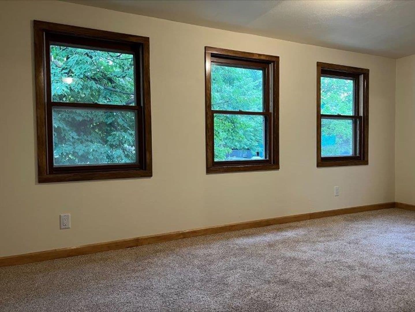 Madison Apartment: 11 North Franklin Street