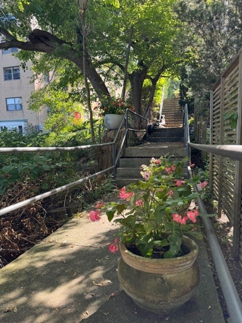 Madison Apartment: 529 North Pinckney Street