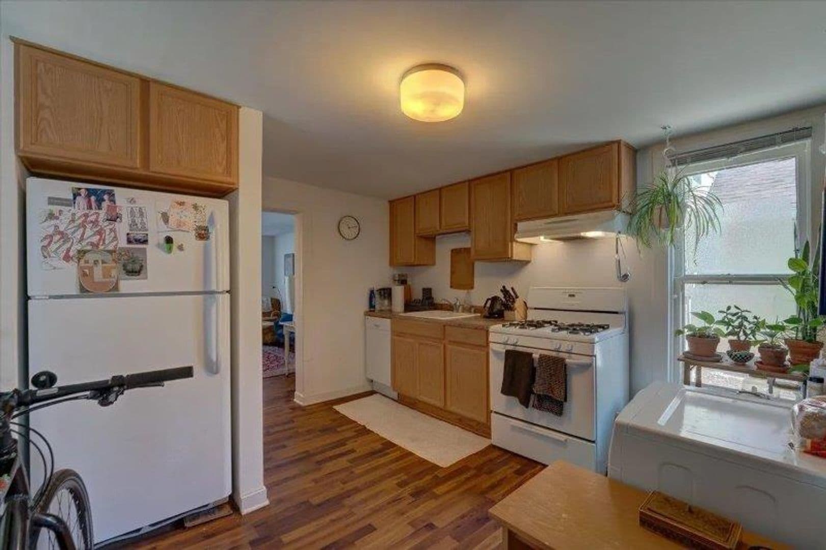 Madison Apartment: 1145 Williamson Street