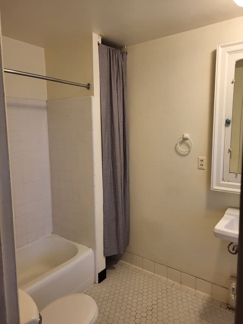 Madison Apartment: 529 North Pinckney Street