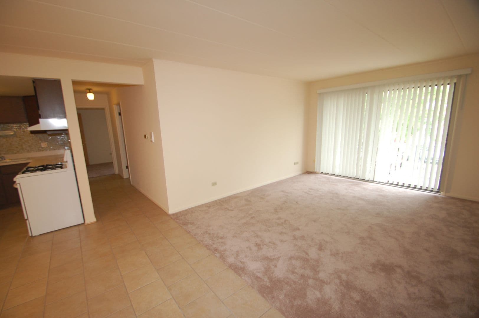 Oak Lawn Apartment: 11001-15 S Keating Ave
