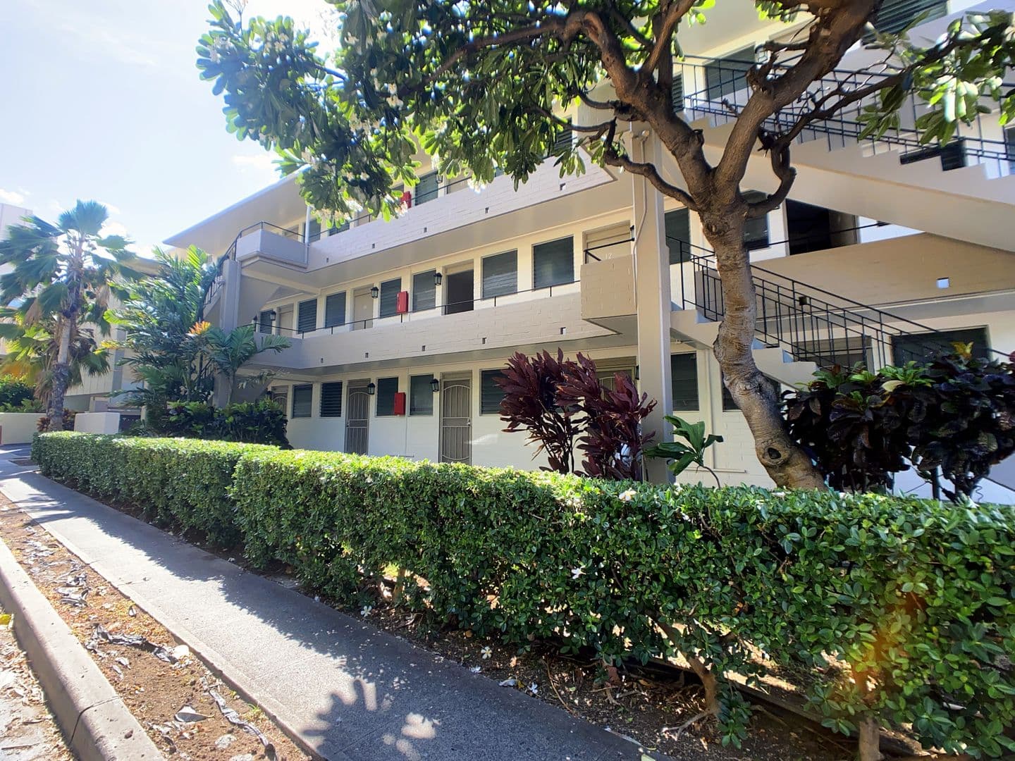 Honolulu Apartment: 264 Kaiulani Ave