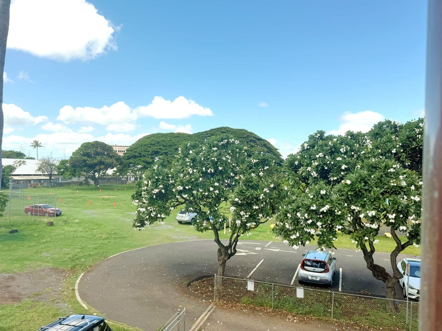 Honolulu Apartment: 980 Robello Ln