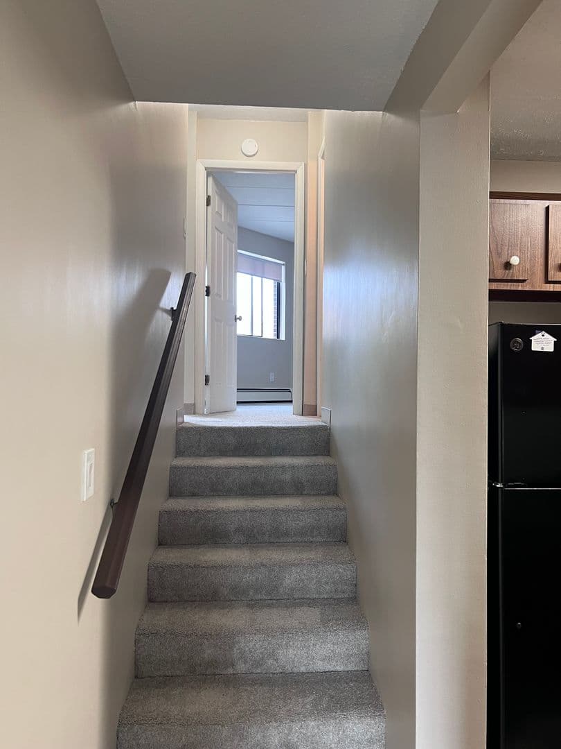 Wakefield Apartment: 11 Bartley  Street