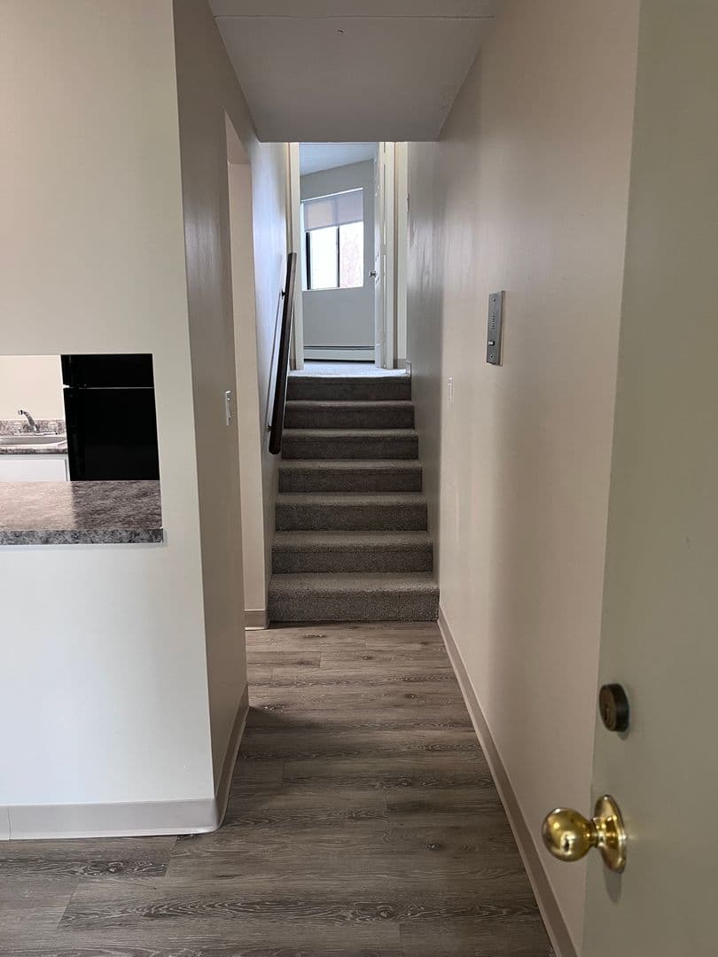 Wakefield Apartment: 11 Bartley  Street