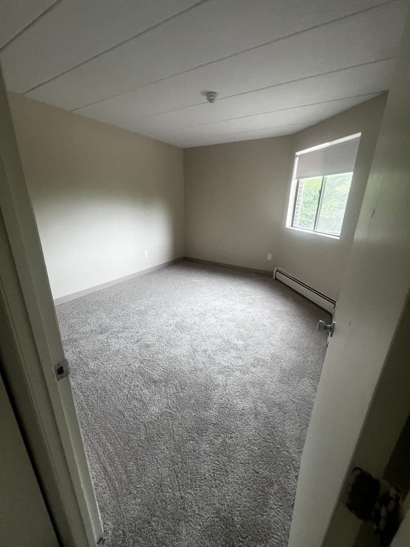 Wakefield Apartment: 11 Bartley  Street