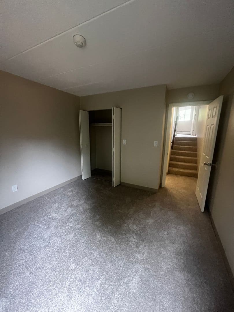 Wakefield Apartment: 11 Bartley  Street