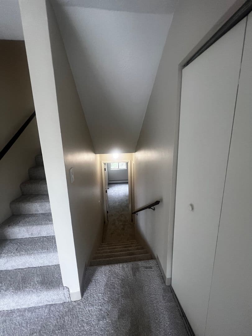 Wakefield Apartment: 11 Bartley  Street