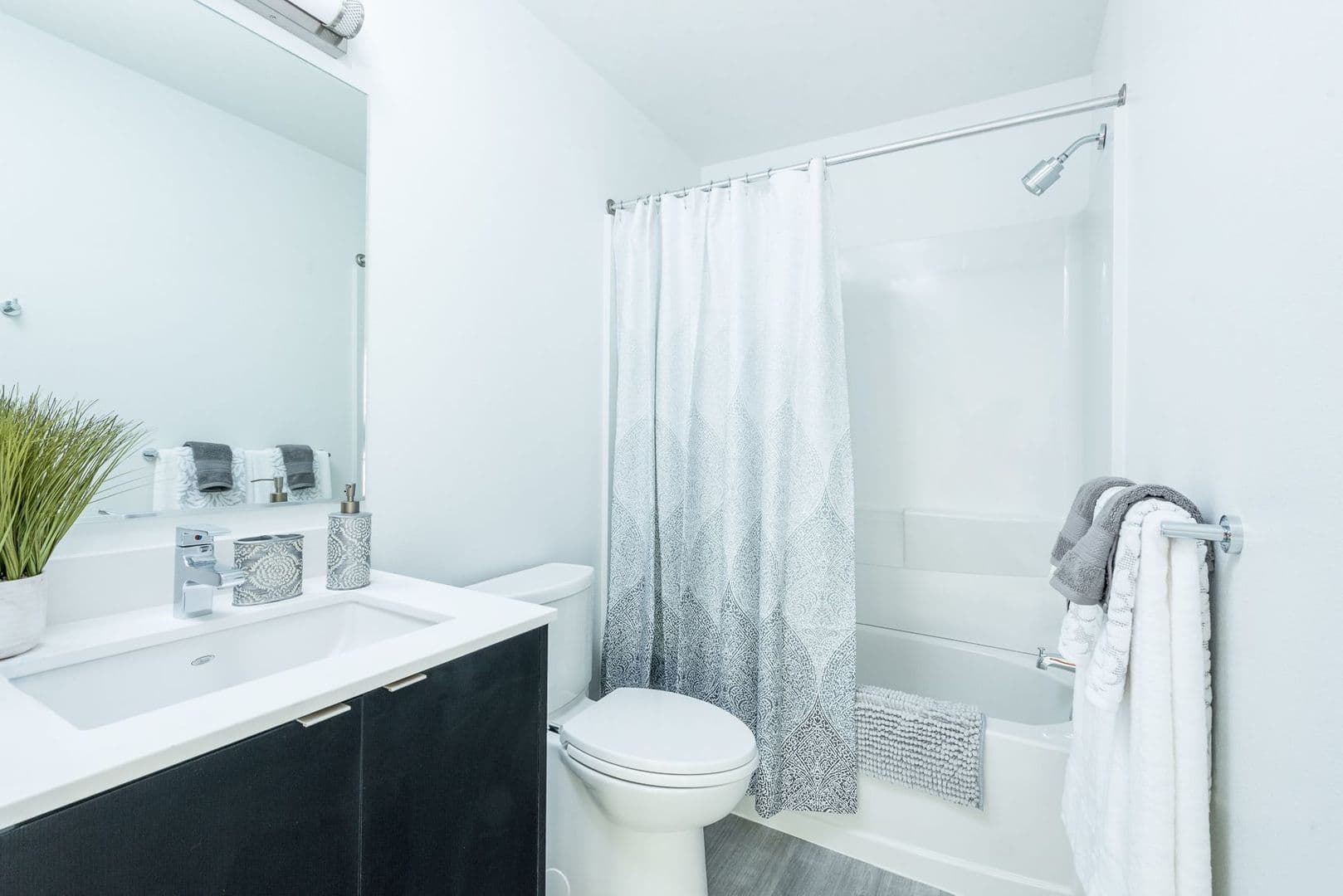 Seattle Apartment: 722 E Pike St